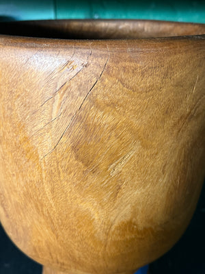 Hardwood Classic #8883 - Shell - 13"-13.75"