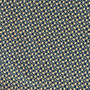 Lapas (African Fabric)