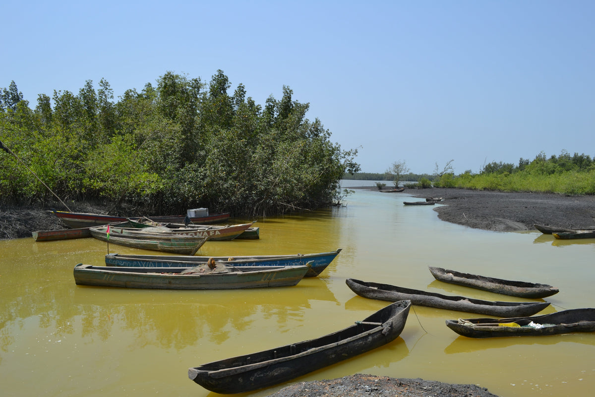 Guinea Trip with M'Bemba Bangoura 2025-2026