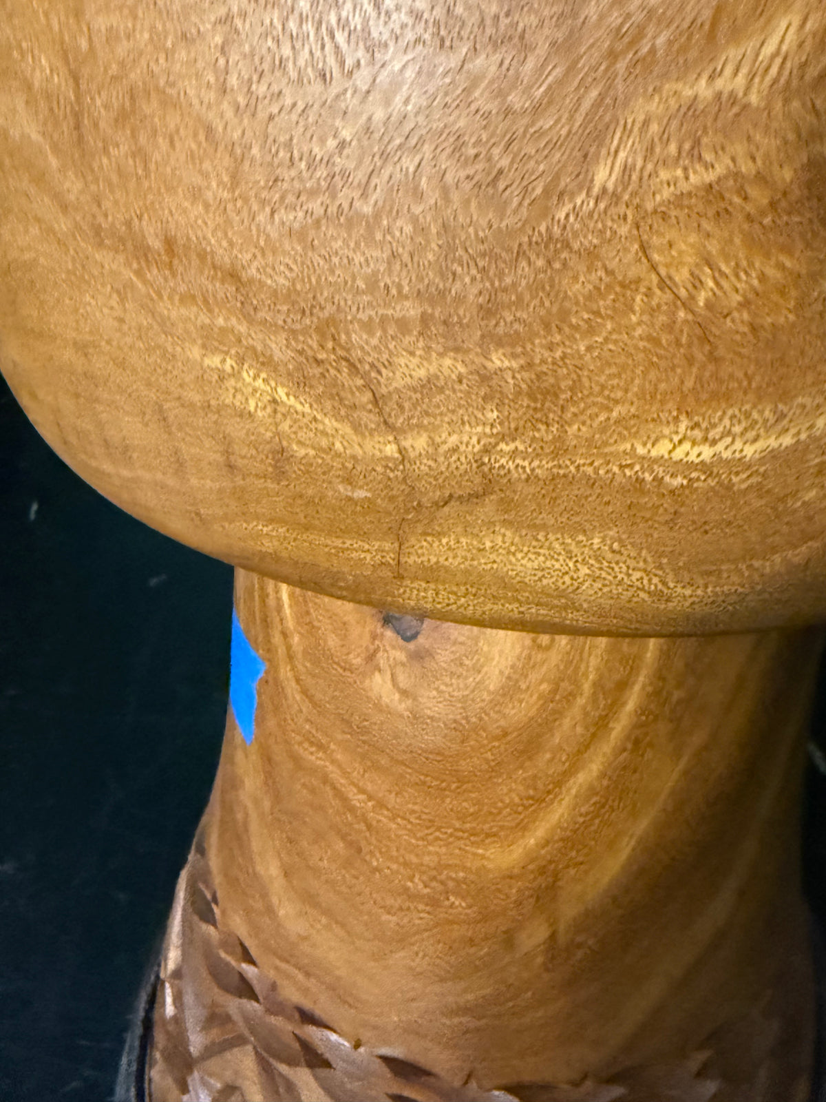 Hardwood Classic #8883 - Shell - 13"-13.75"
